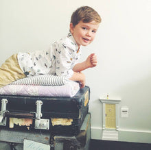 Load image into Gallery viewer, MY WEE FAIRY DOOR | ELF MAILBOX