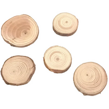 Load image into Gallery viewer, My wee Fairy Door | Miniature Rings of Wood-Be.YOU.bébé
